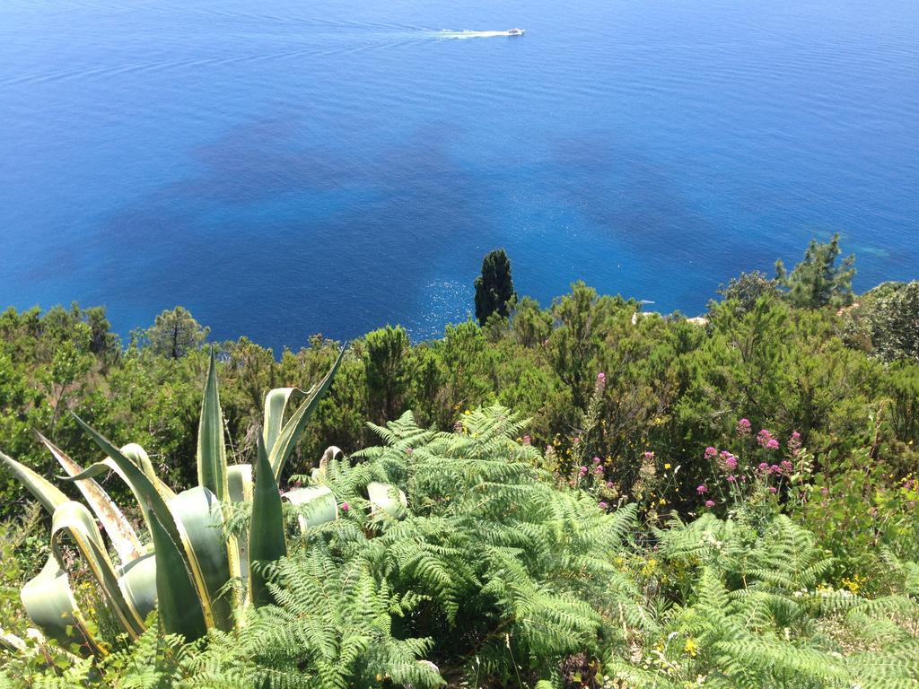 Il Casale Del Giglio Bed & Breakfast Santo Stefano di Magra Bagian luar foto